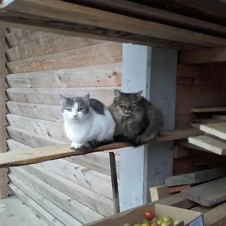 Gaestehaus Waldblick 3* Fürstenfeld