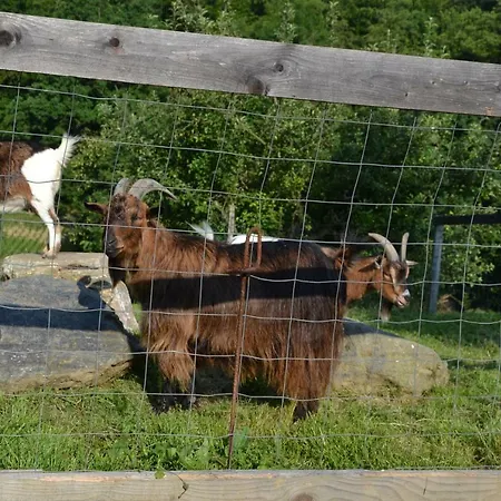 Gasthuis Gaestehaus Waldblick Fürstenfeld