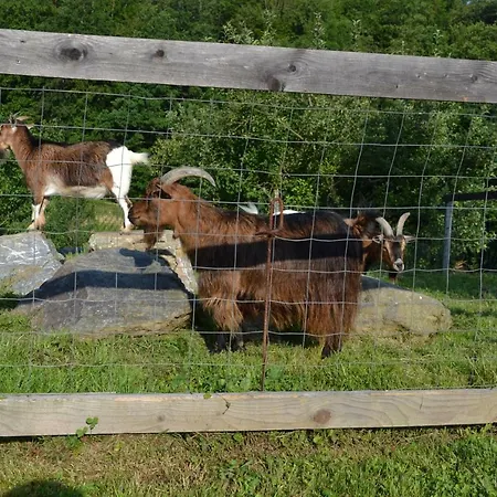 Gaestehaus Waldblick 3*