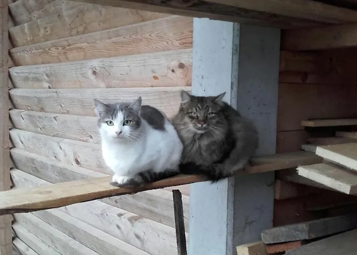 Gaestehaus Waldblick 3* Fürstenfeld