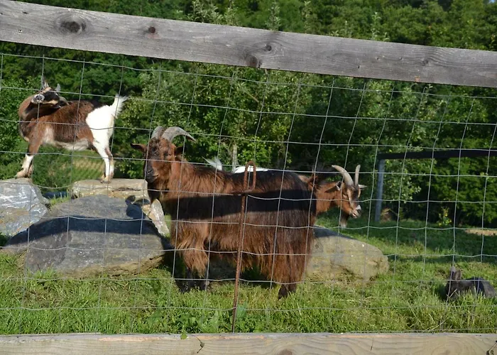 Penzion Gaestehaus Waldblick Fürstenfeld