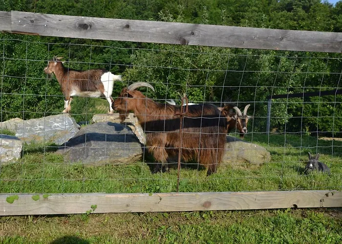 Gaestehaus Waldblick 3*